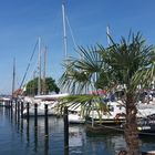 Street Food Festival Laboe