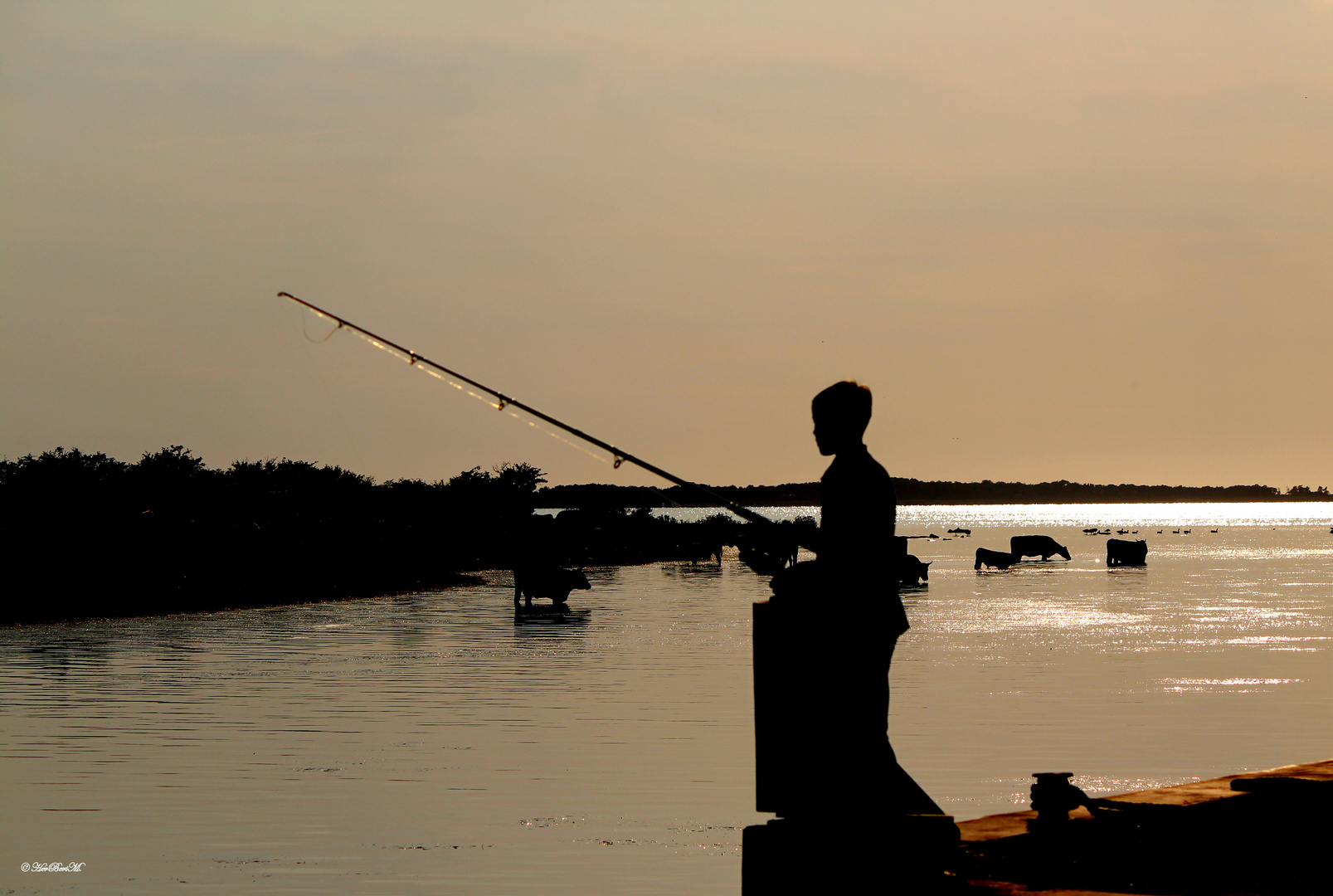 Street Foto "Abendstimmung am Bodden"