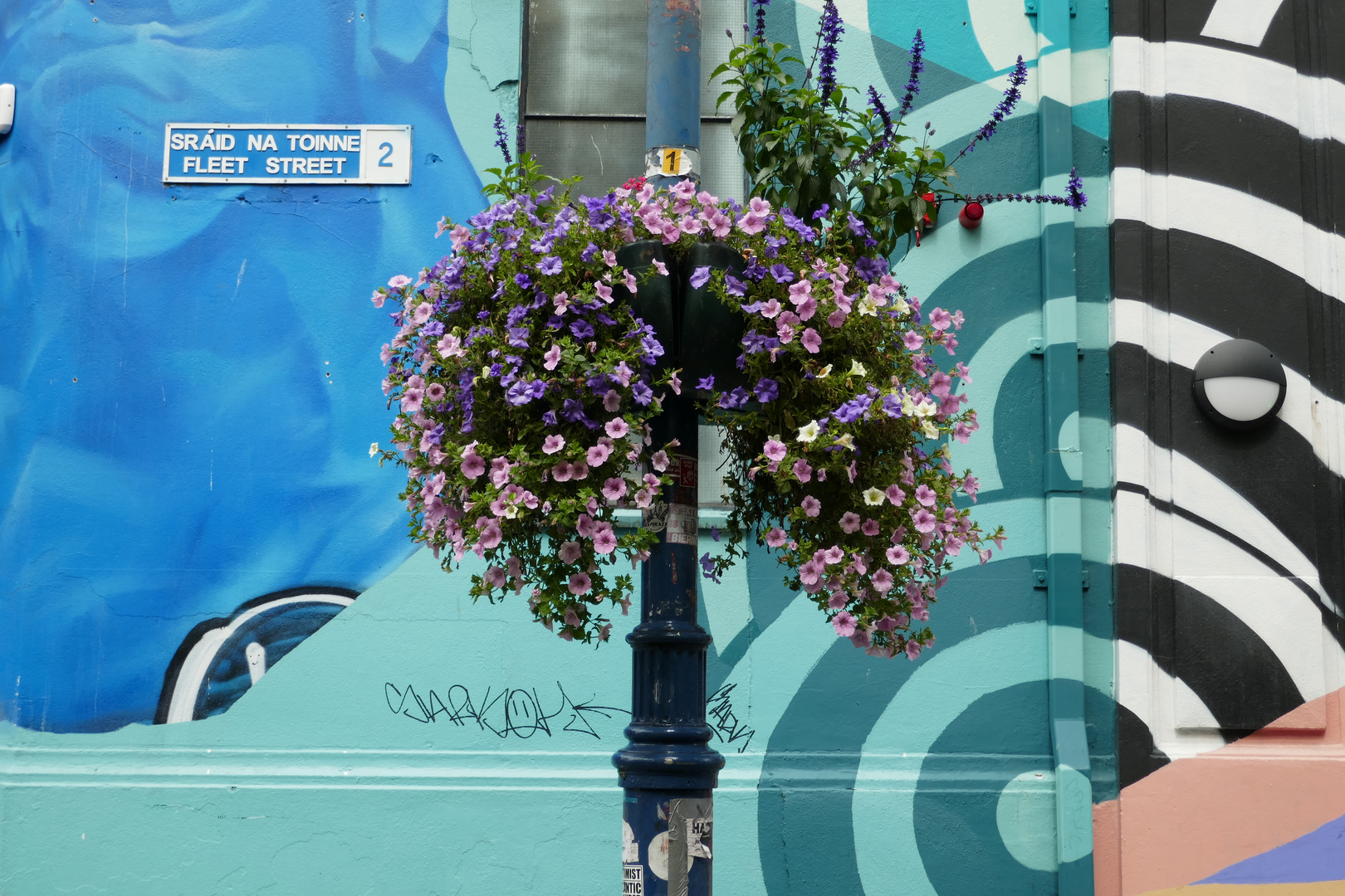 Street Foto, Dublin