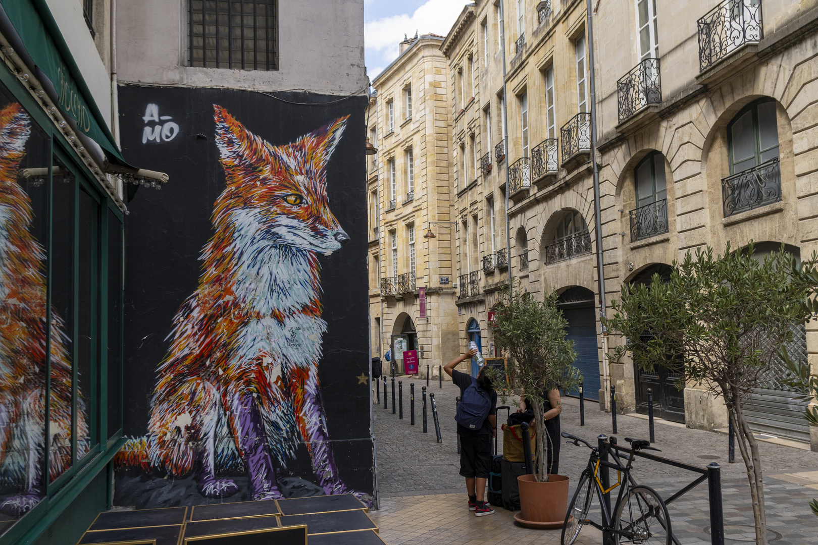 Street-Fox hat auch Durst