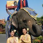 street Frauen Elefant Thai P20-20-coljpg