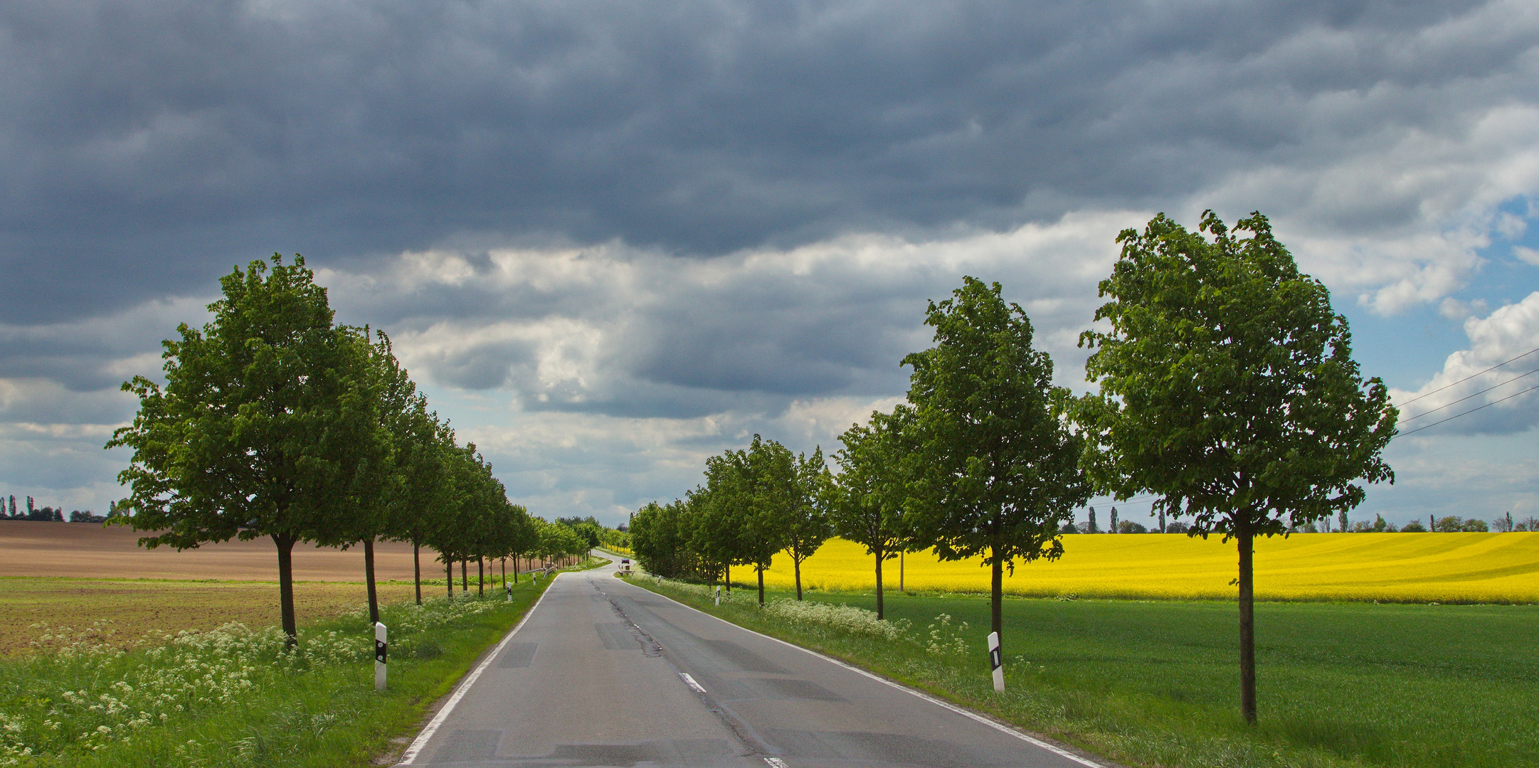 Street im Harzvorland