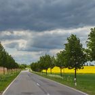 Street im Harzvorland