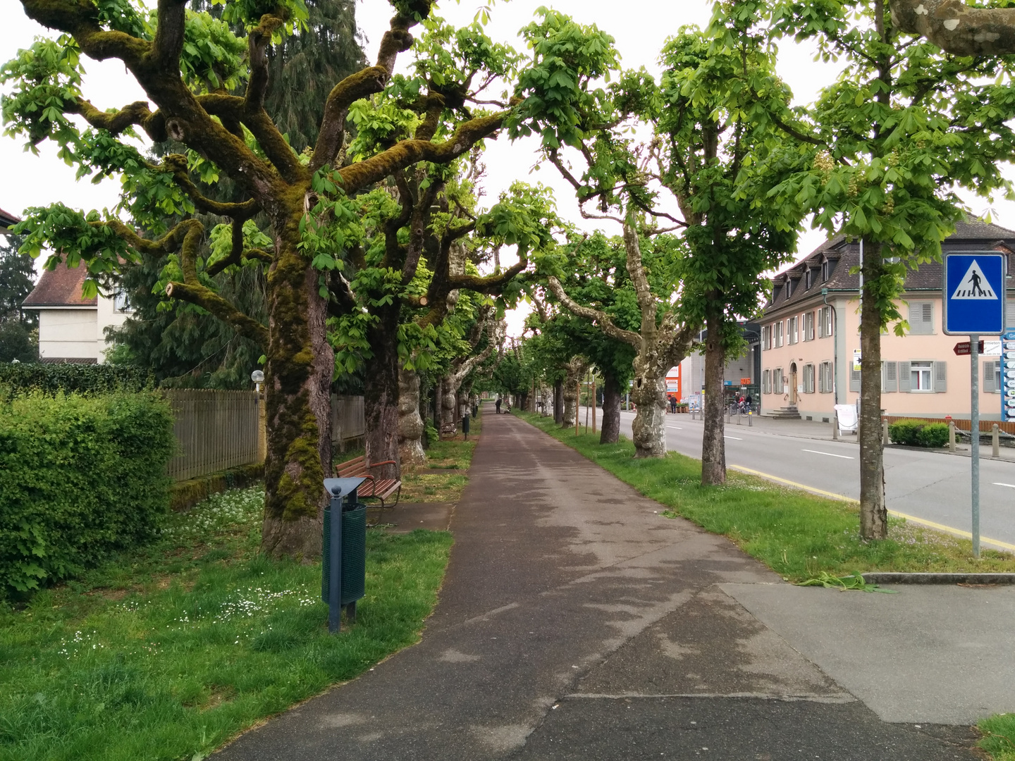 Street in Bad Zurzach