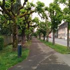 Street in Bad Zurzach