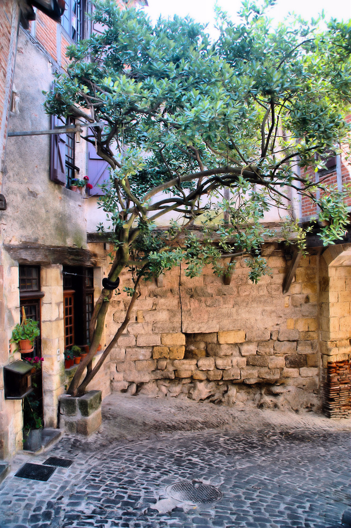 Street in Cordes sur Ciel