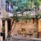 Street in Cordes sur Ciel