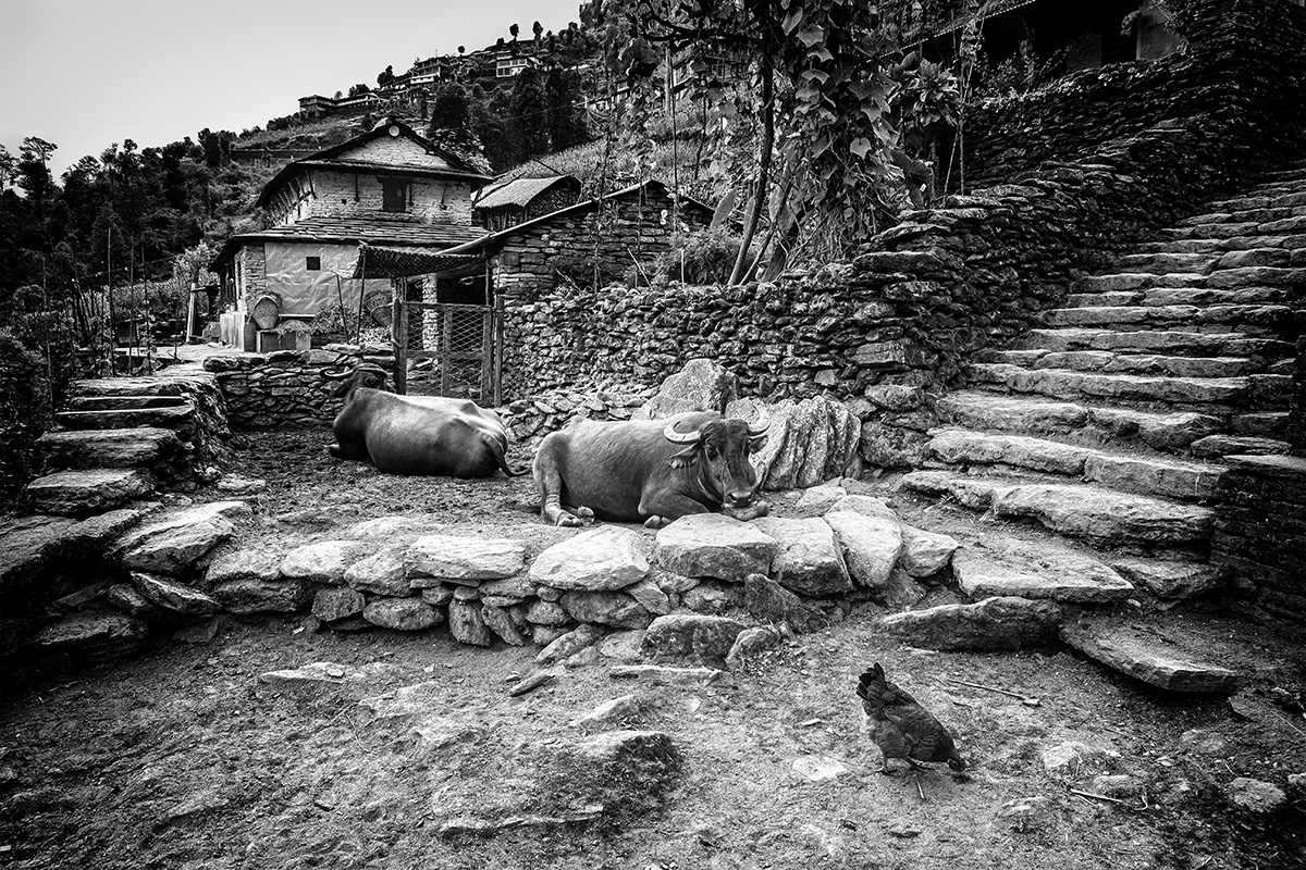 "Street" in den Bergen von Nepal