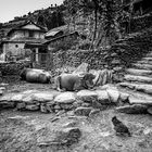 "Street" in den Bergen von Nepal