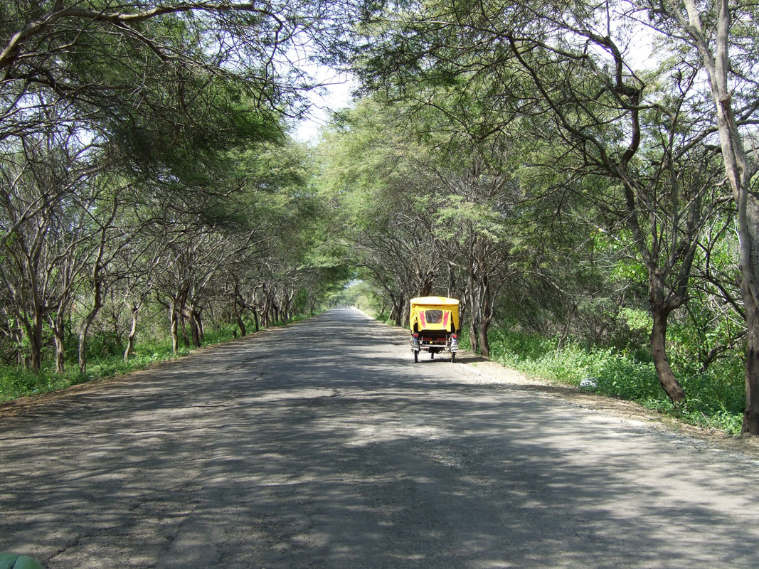 Street in Manabi, Ecuador