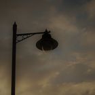 Street lamp