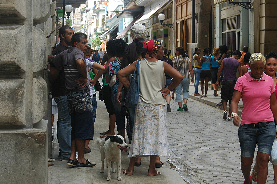 Street mit Hund 