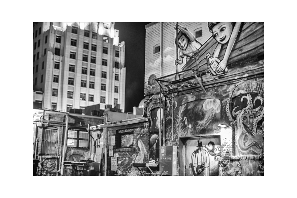 Street Mosaic 3