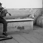 street musician