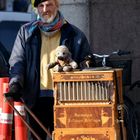 Street musician