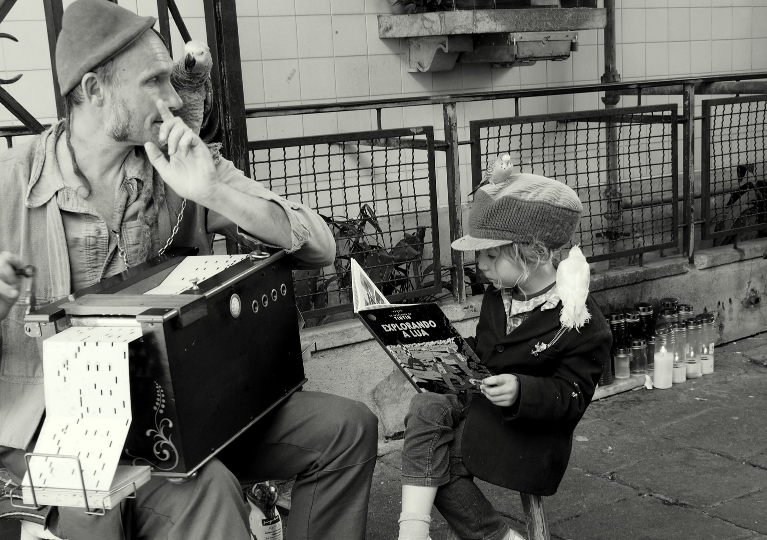 Street Musician