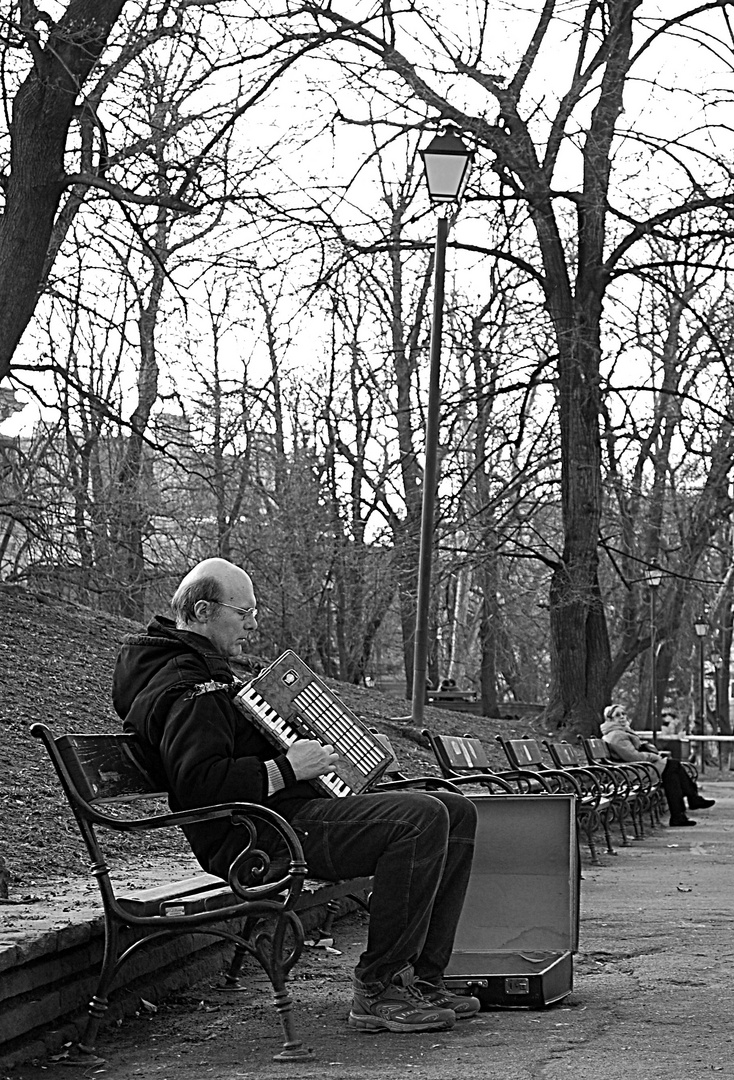 Street Musician