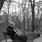 Street Musician