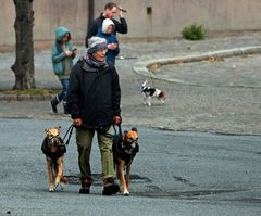 Street - Norwegen - Bergen -