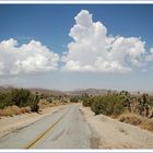 Street of Joshua Tree NP