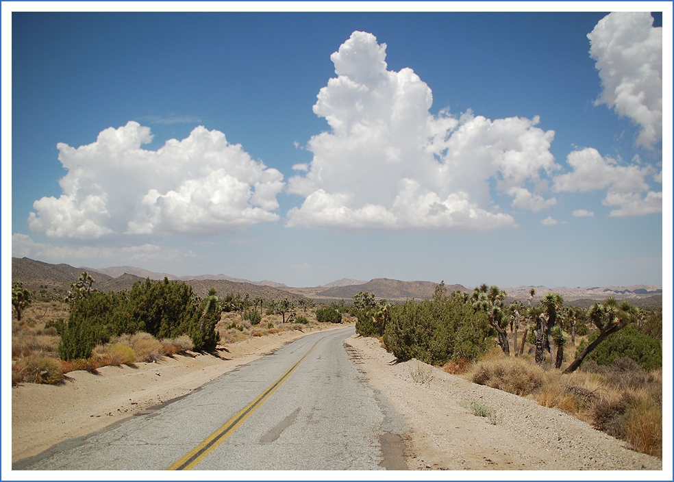 Street of Joshua Tree NP