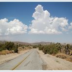 Street of Joshua Tree NP