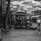 Street Of Port Louis