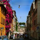 street of Rome...