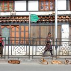 Street of Thimphu (Bhutan)