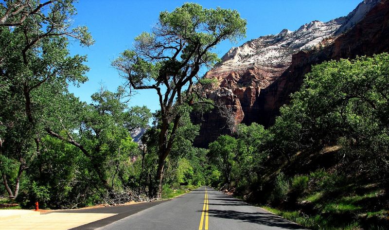 Street of Zion