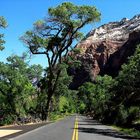 Street of Zion