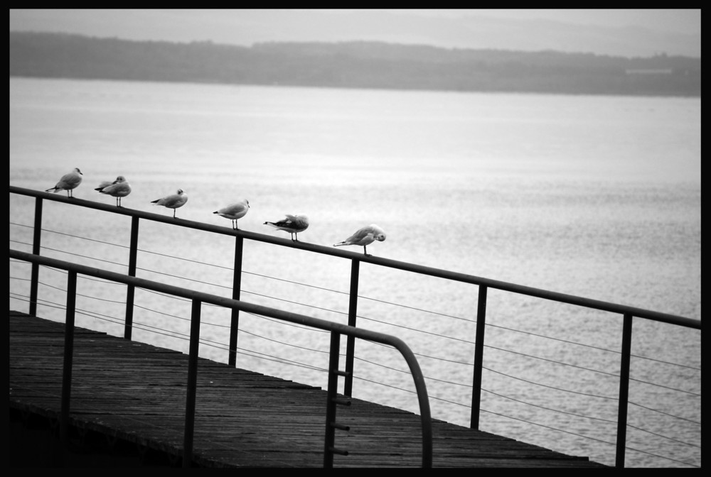 STREET ON THE WATER