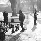 street Park Schach Winter c75d-2503-sw +Winterfotos