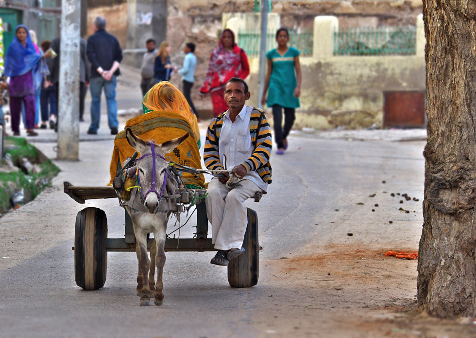 street pictures of India I