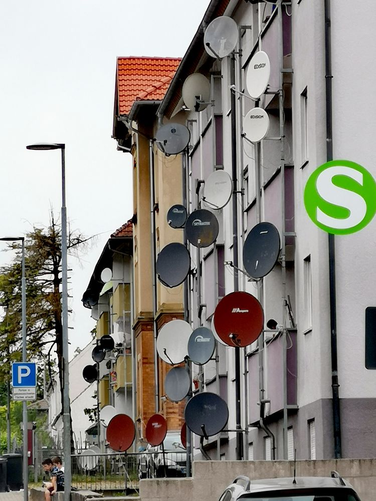 street Schüssel Wald P20-20-col