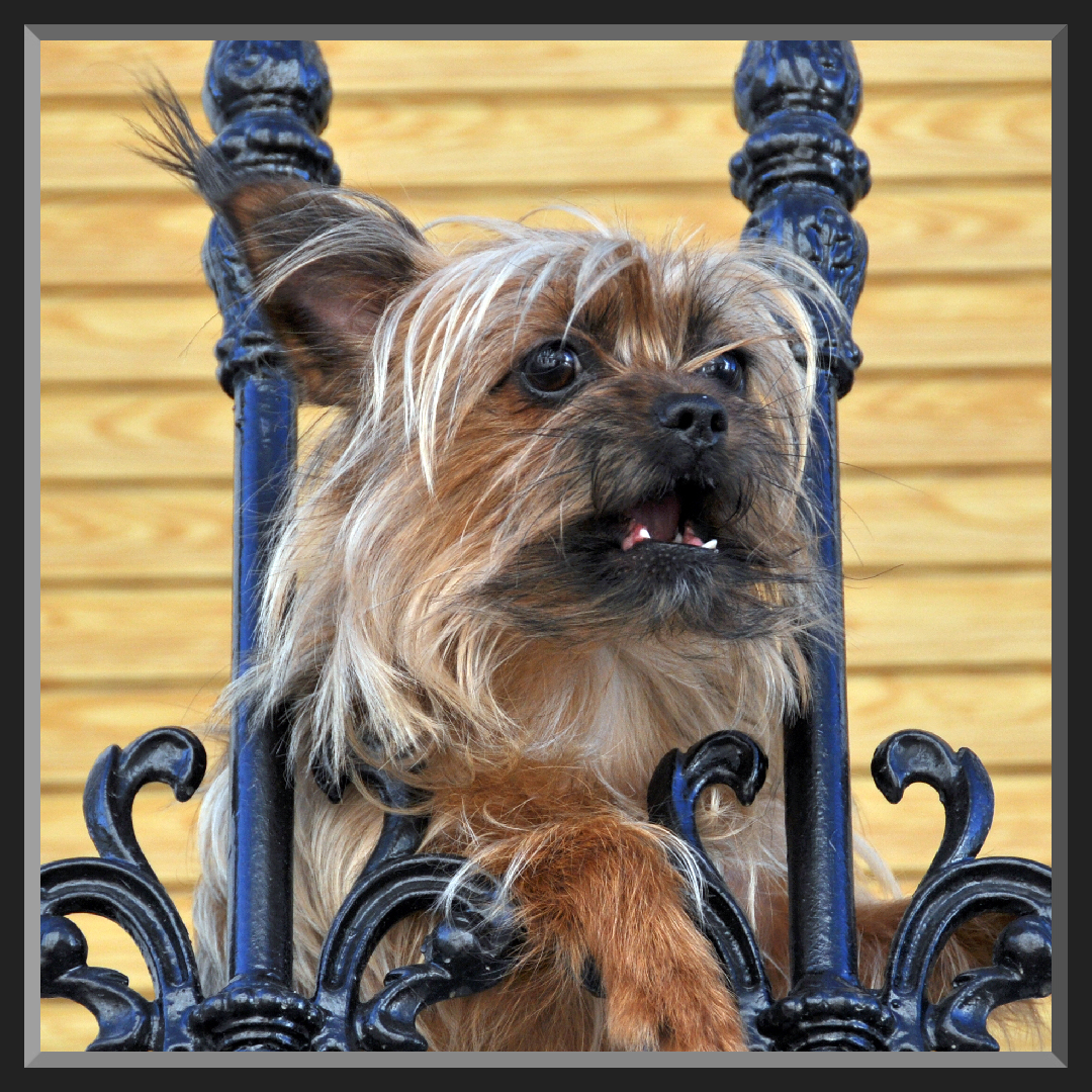 Street & Studio • 809