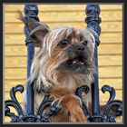 Street & Studio • 809