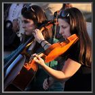 Street & Studio • 810