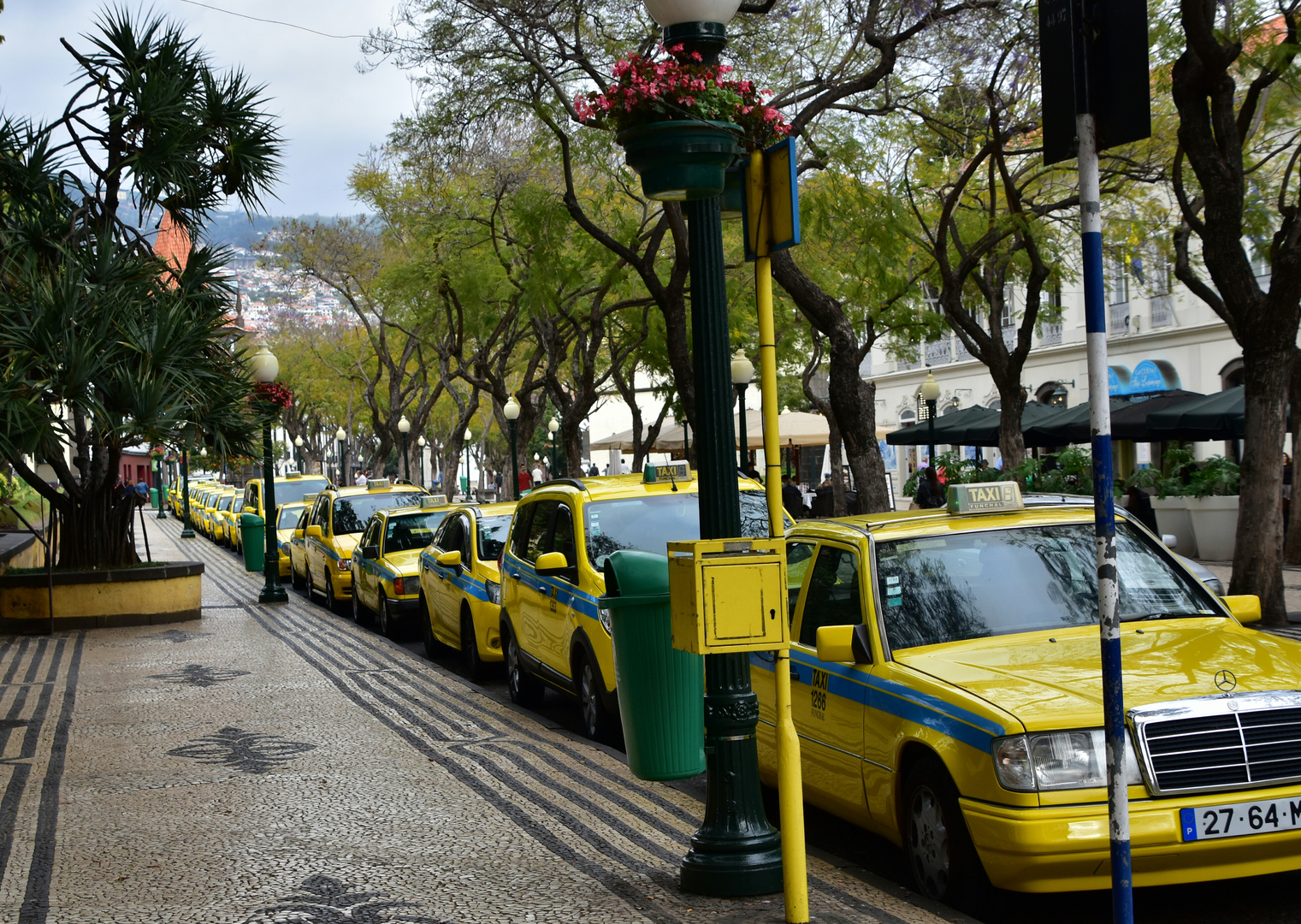 Street View 3: Taxi sind gelb