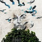 streetart 281