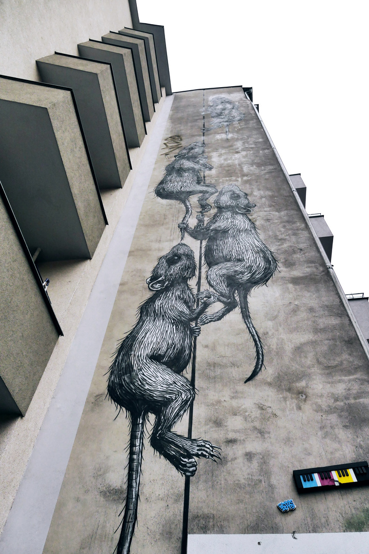 streetart 305