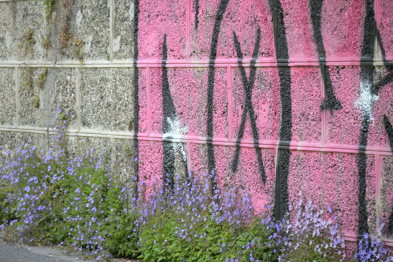 Streetart - das kann die Natur schon lange