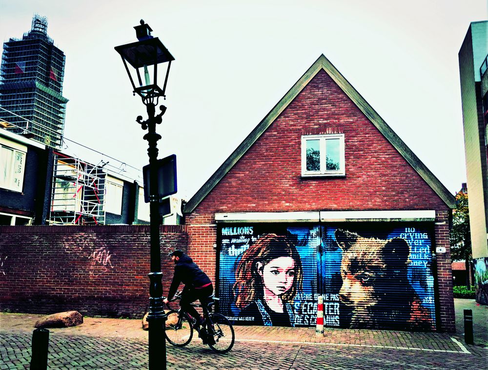 streetart Radfahrer Utrecht NL p30-44-fx +FotoLink