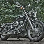 Streetbob