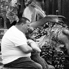 Streetfoto von einem Berliner Brunnen