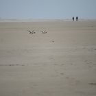 Streetfotografie am Strand 