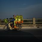 Streetfotografie, Vietnam