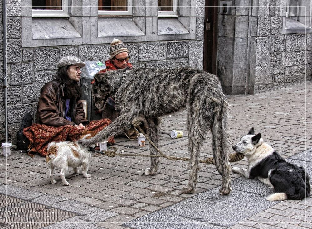 Streetlife, Dublin