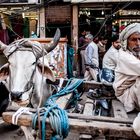 Streetlife in Delhi