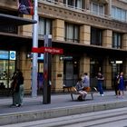 streetlife Sydney 7